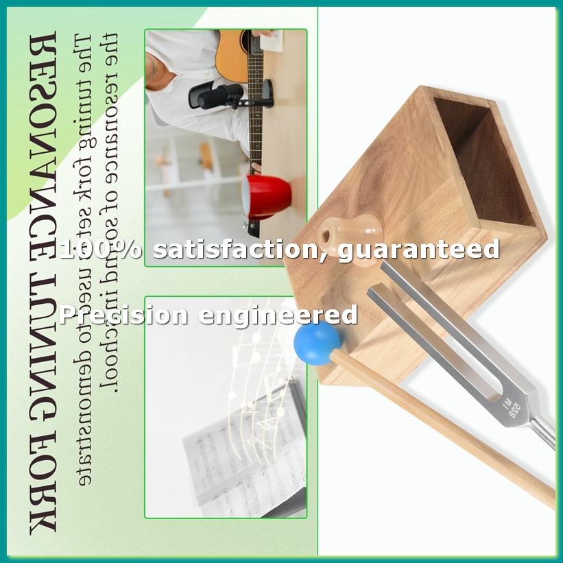 Food Snacks At Home - 528HZ Tuning Fork,Tuning Fork Resonance Box,for