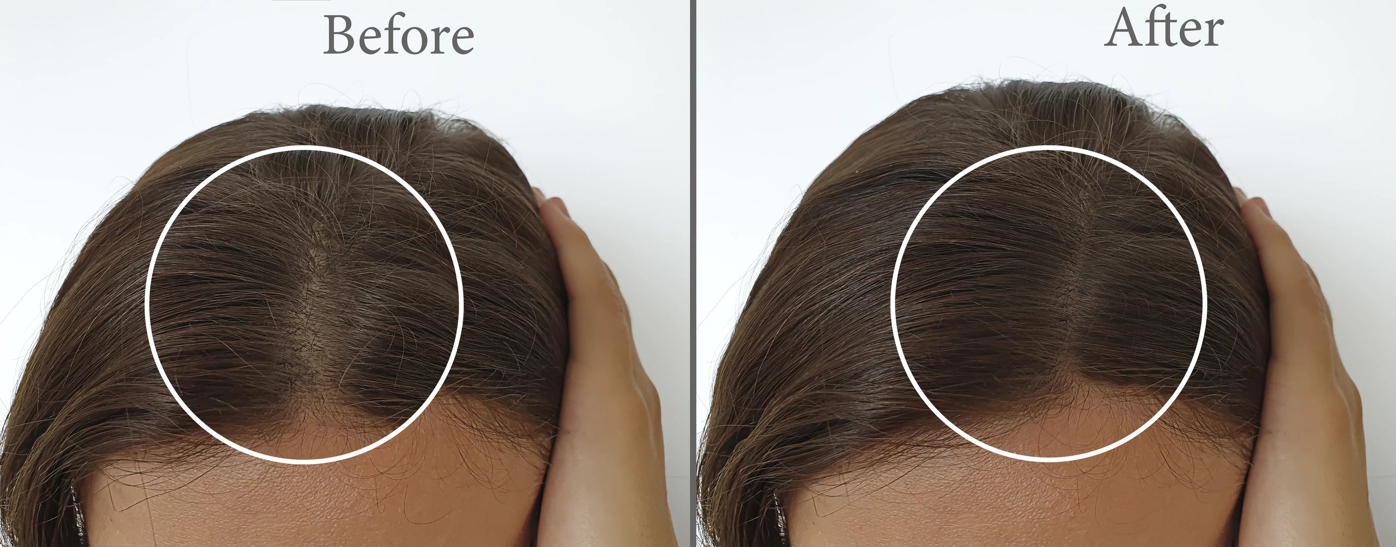 ProGrow Clay Hair Loss Shampoo - Food Near Snacks review and price