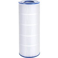 CS100 Pool Filter Cartridge Re - Food Snacks At Home review and price