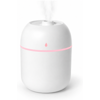 Mini USB Air Humidifier Large  - Food Snacks At Home review and price