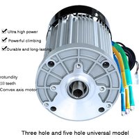 60V/72V 3000W 4600RPM permanen - Food Snacks At Home review and price