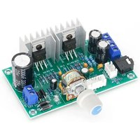 Mini TDA2030 Dual Channel Powe - Food Snacks At Home review and price