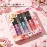 Mini Home Fragrance Mist Gift  - Food Snacks At Home review and price