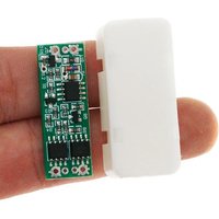 DC To AC Module Inverter Circu - Food Snacks At Home review and price